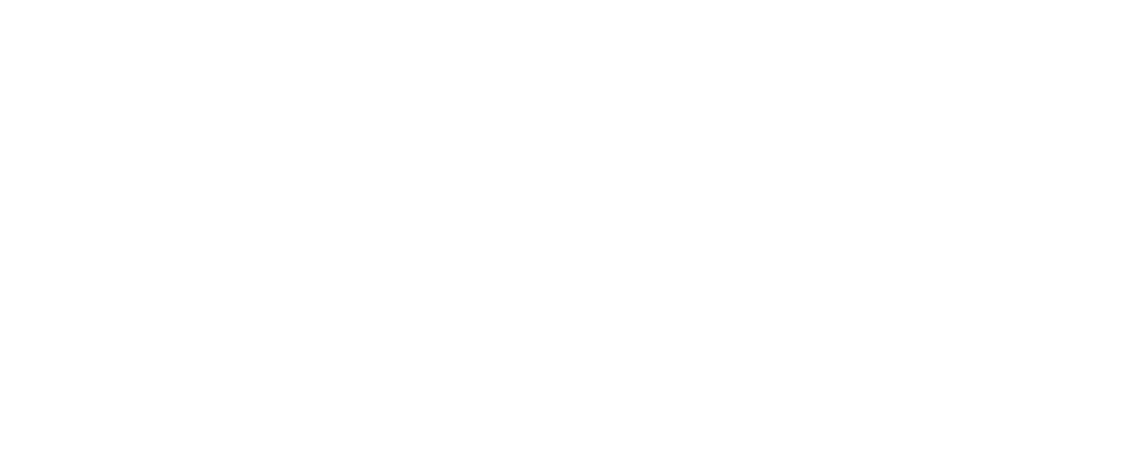 BAZADOG