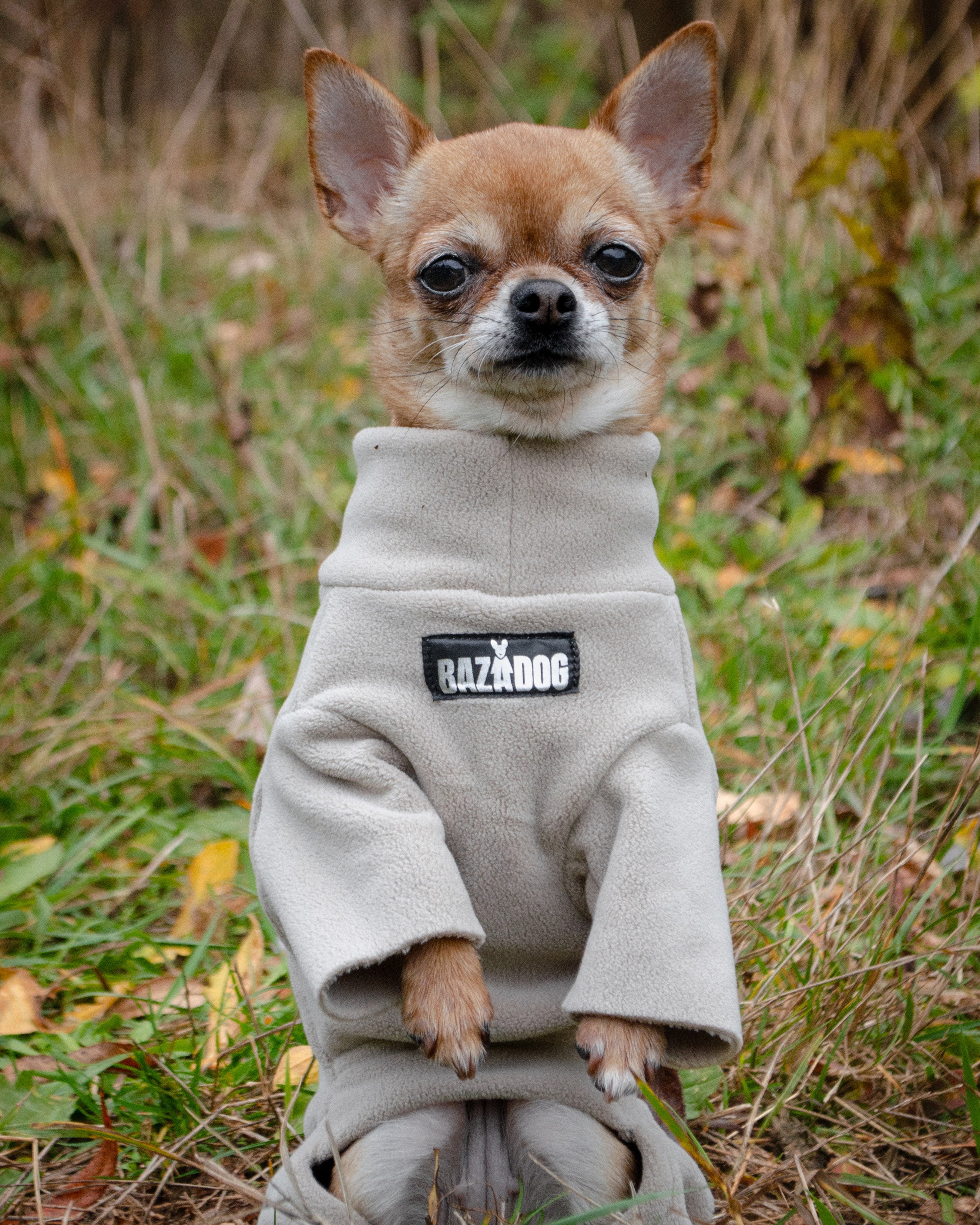 Анатомічний костюм BazaDog, PFT (Polar Fleece Technology), сірий