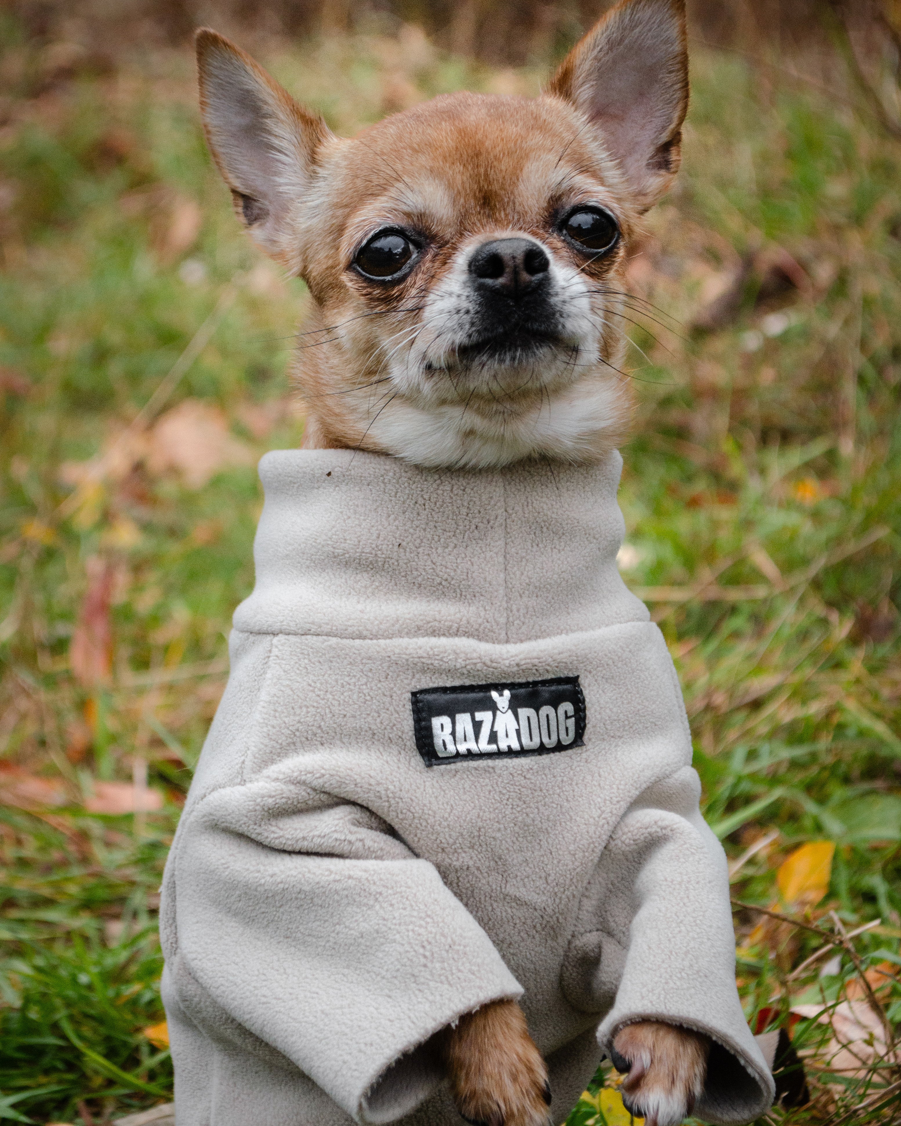 Анатомічний костюм BazaDog, PFT (Polar Fleece Technology), сірий