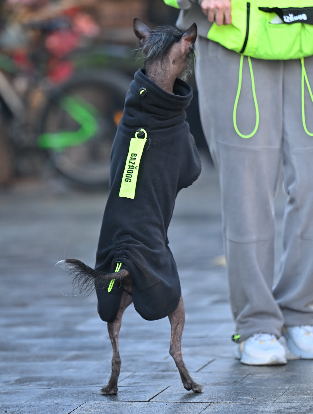 Попона-пуловер з високою горловиною BazaDog «Luna», чорний