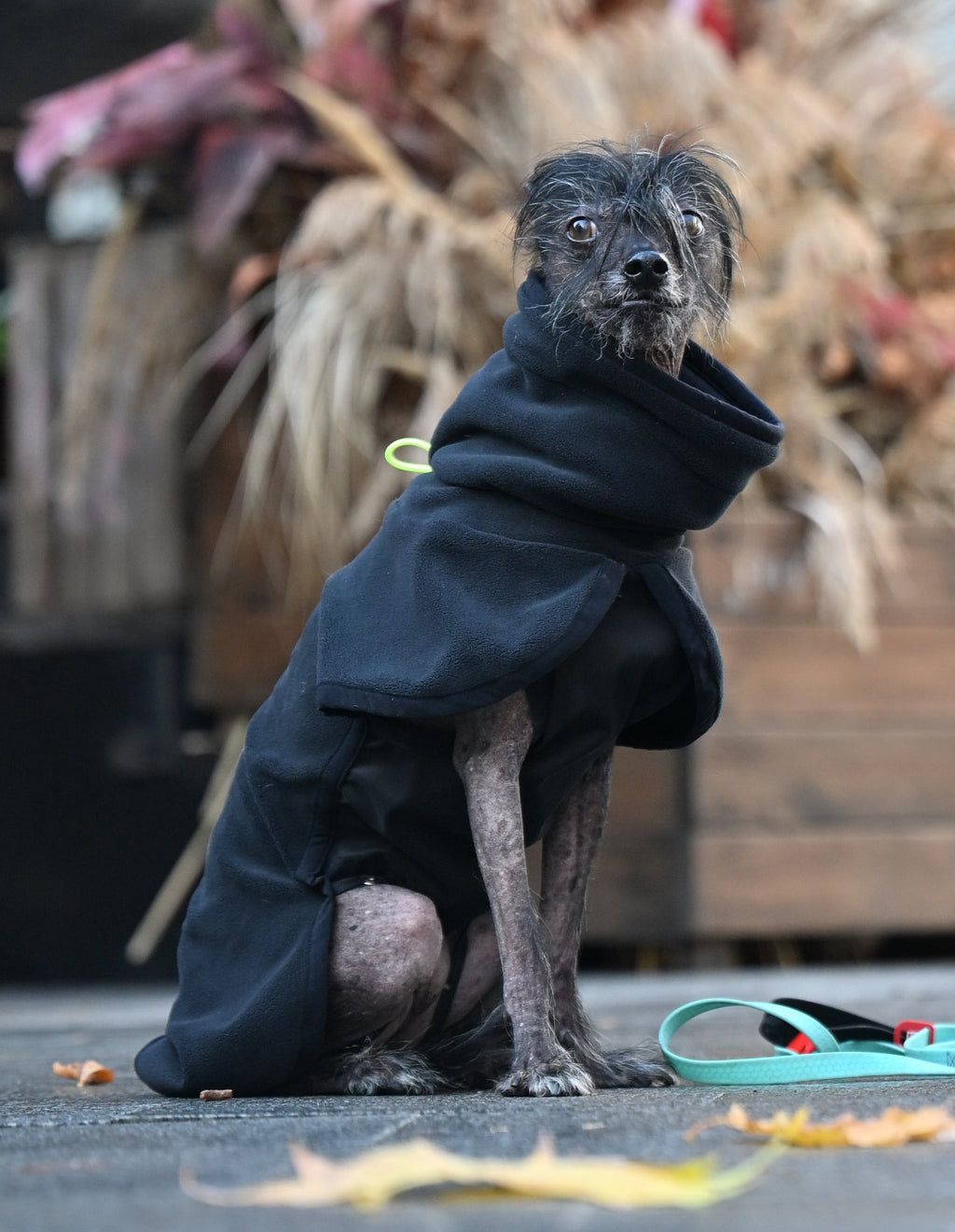 Попона-пуловер з високою горловиною BazaDog «Luna», чорний