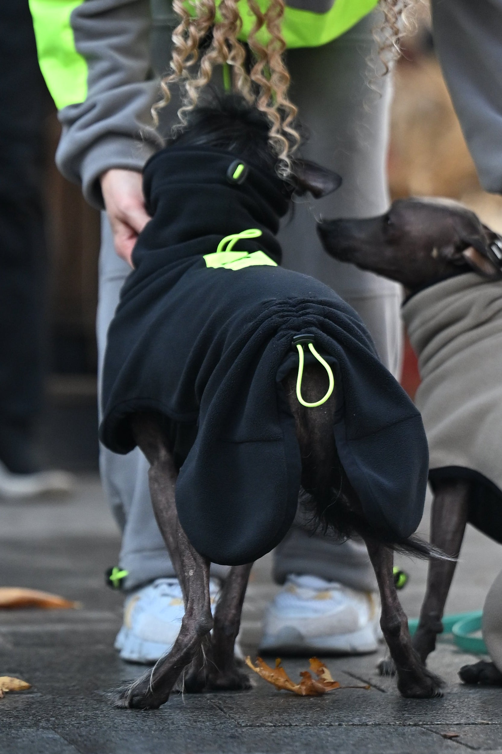 Попона-пуловер з високою горловиною BazaDog «Luna», чорний