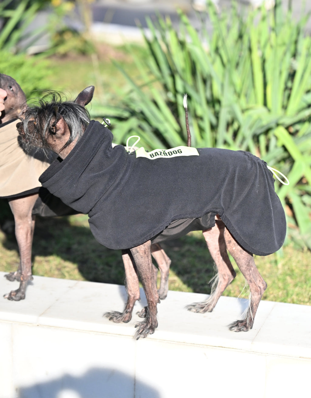 Попона-пуловер з високою горловиною BazaDog «Luna», чорний