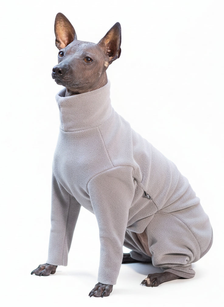 Анатомічний костюм BazaDog, PFT (Polar Fleece Technology), сірий