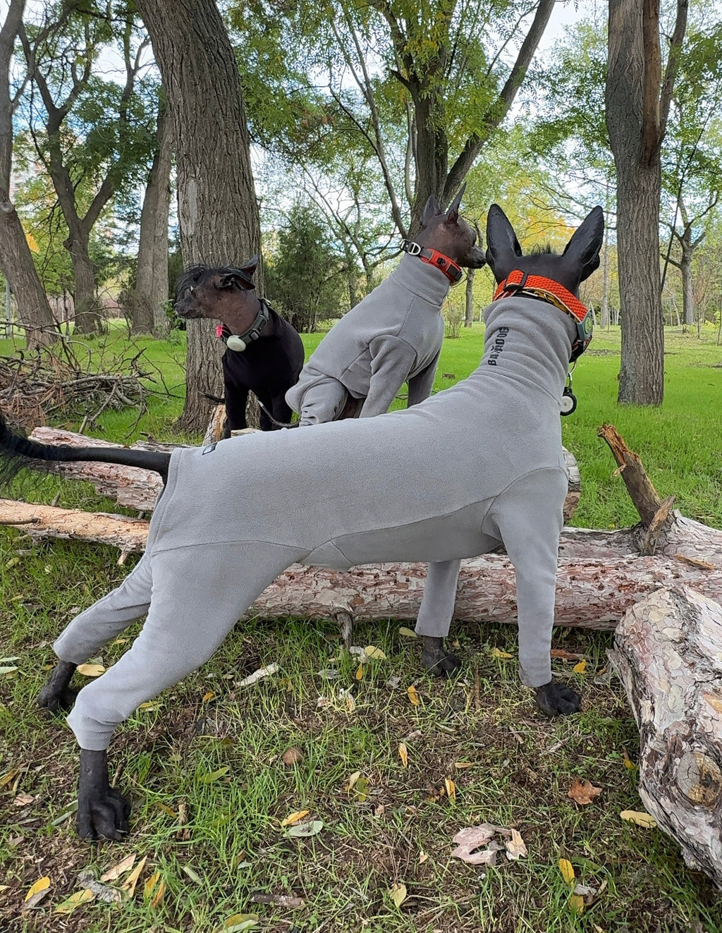 Анатомічний костюм BazaDog, PFT (Polar Fleece Technology), сірий