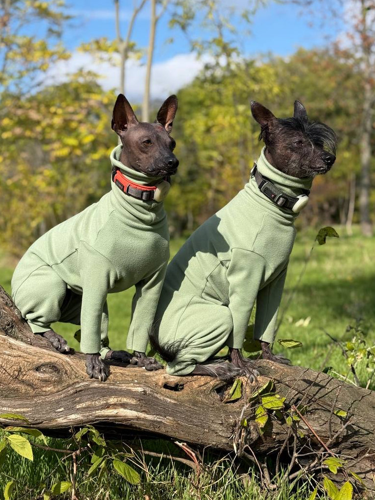 BazaDog «COMFORT» Комбінезон унісекс та для хлопчиків кольору фісташка