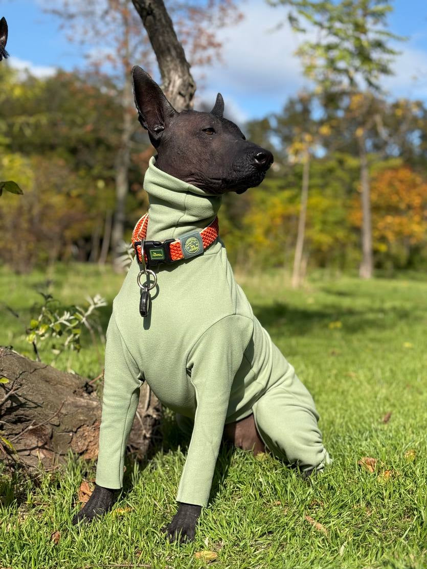 BazaDog «COMFORT» Комбінезон унісекс та для хлопчиків кольору фісташка