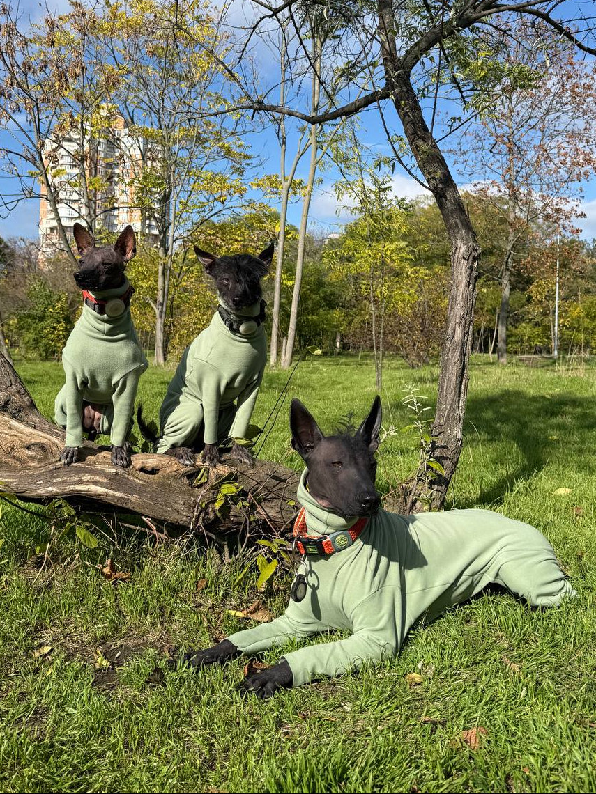 BazaDog «COMFORT» Комбінезон унісекс та для хлопчиків кольору фісташка