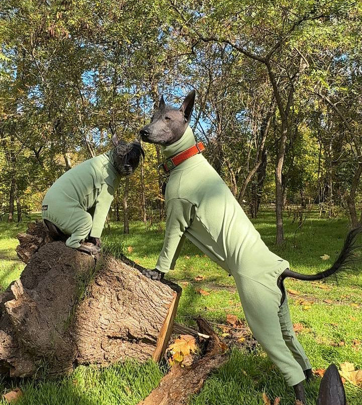 BazaDog «COMFORT» Комбінезон унісекс та для хлопчиків кольору фісташка