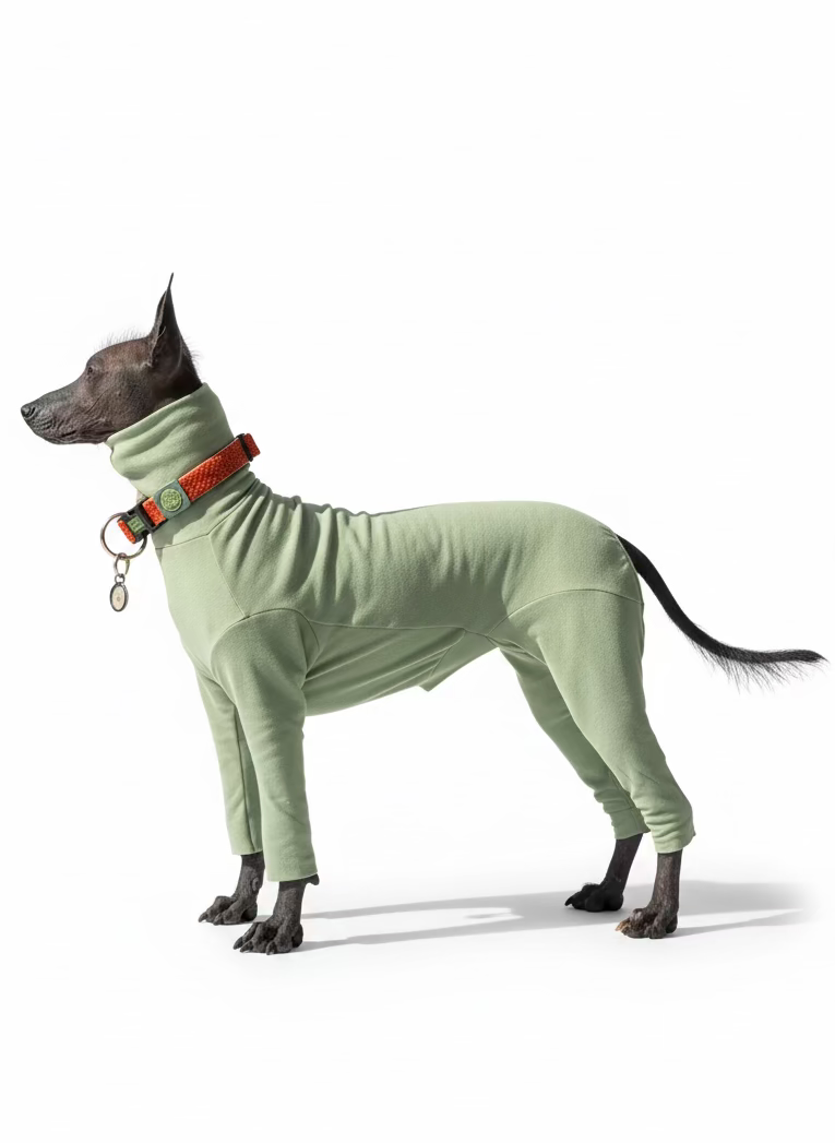 BazaDog «COMFORT» Комбінезон унісекс та для хлопчиків кольору фісташка