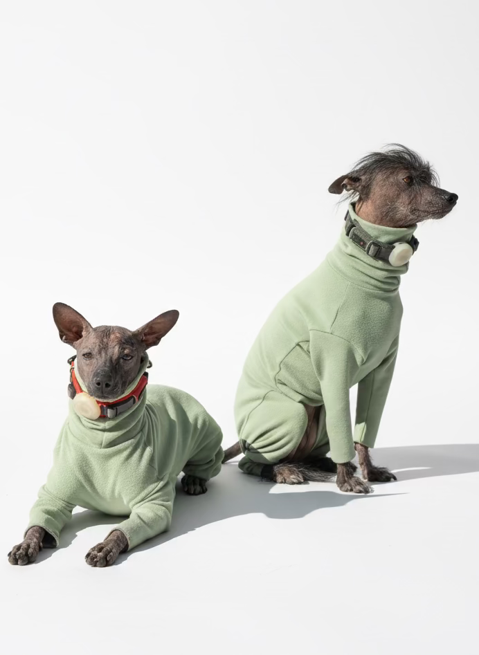 BazaDog «COMFORT» Комбінезон унісекс та для хлопчиків кольору фісташка