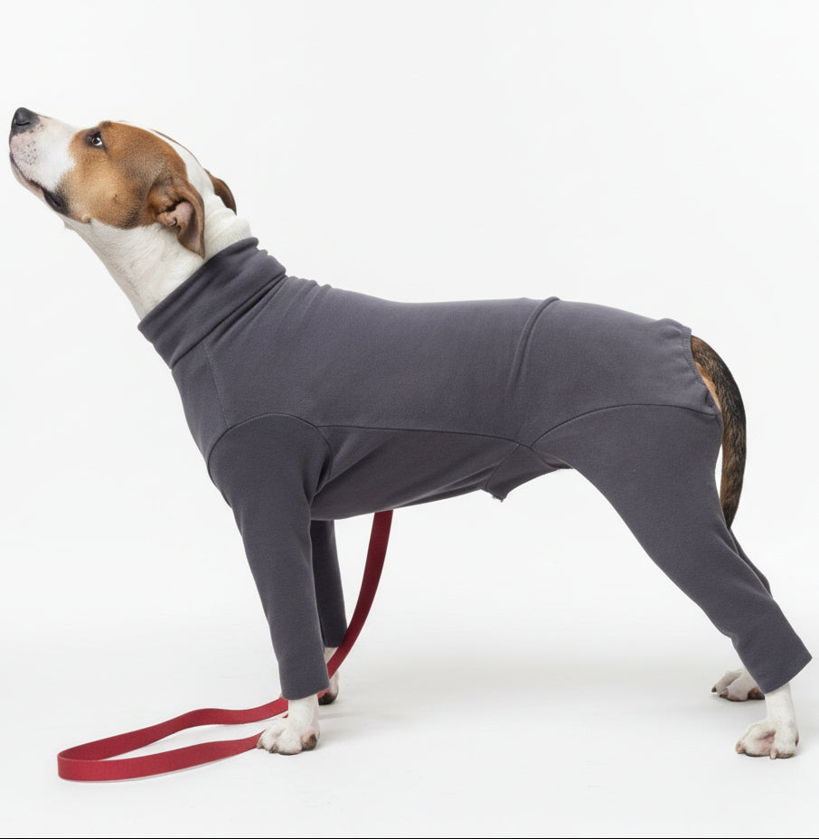 Анатомічний костюм BazaDog, PFT (Polar Fleece Technology), графіт