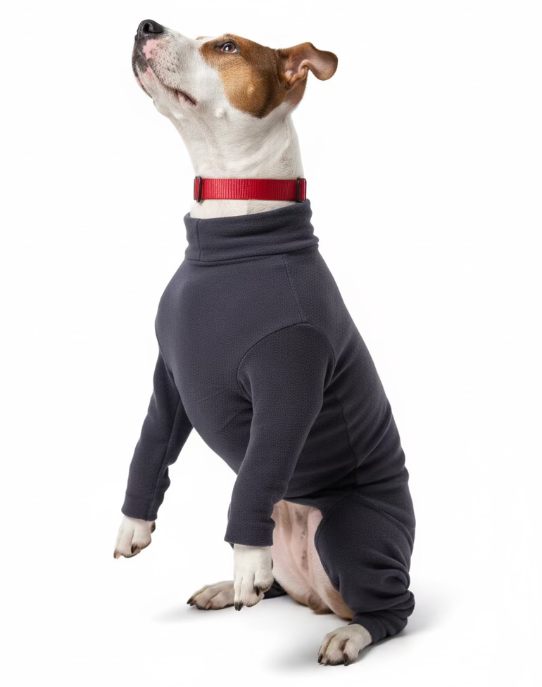 Анатомічний костюм BazaDog, PFT (Polar Fleece Technology), графіт