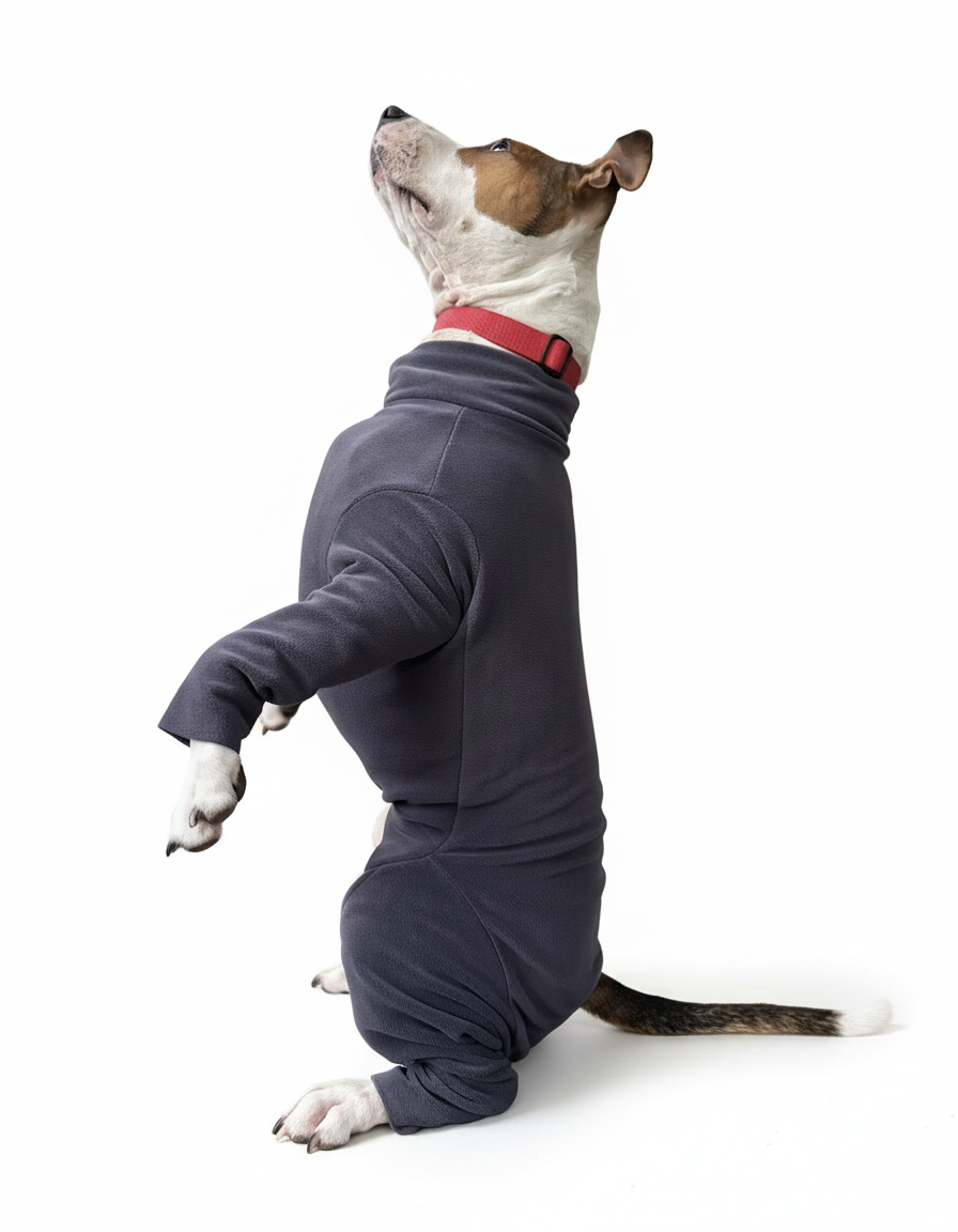 Анатомічний костюм BazaDog, PFT (Polar Fleece Technology), графіт