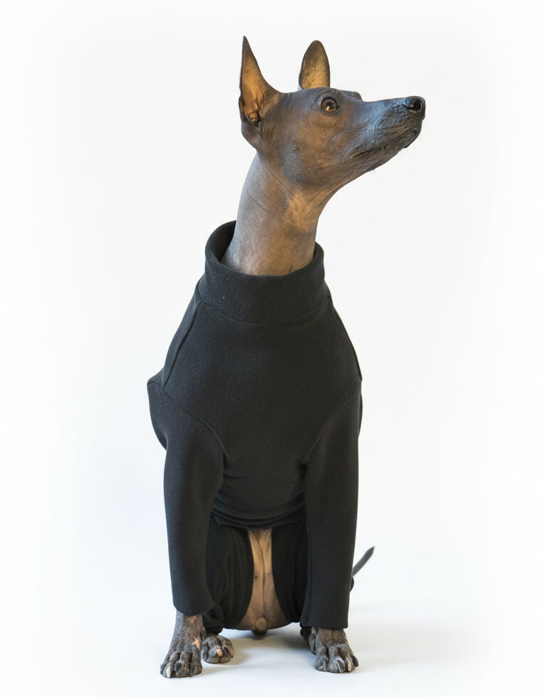 Анатомічний костюм BazaDog, PFT (Polar Fleece Technology), чорний