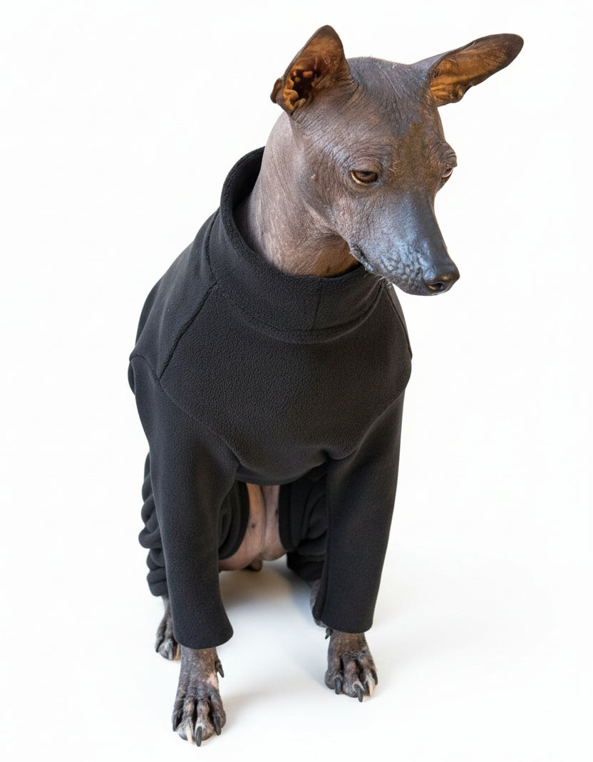 Анатомічний костюм BazaDog, PFT (Polar Fleece Technology), чорний