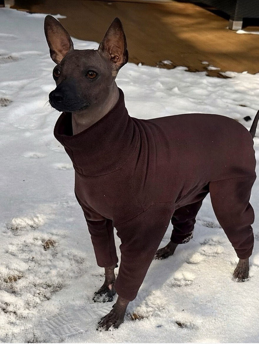 Анатомічний костюм BazaDog, PFT (Polar Fleece Technology), шоколад