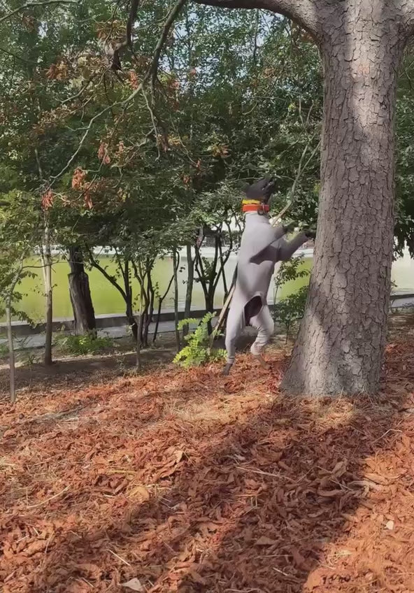 Анатомічний костюм BazaDog, PFT (Polar Fleece Technology), сірий