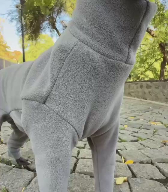 Анатомічний костюм BazaDog, PFT (Polar Fleece Technology), сірий